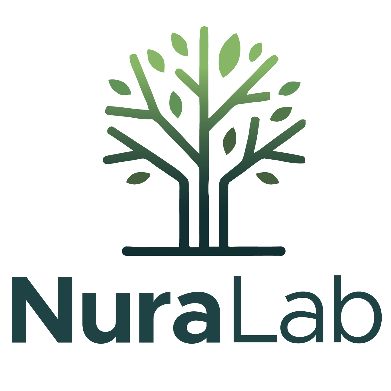 NuraLab logo